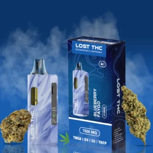 Lost thca BLUEBERRY FAYGO (HYBRID)